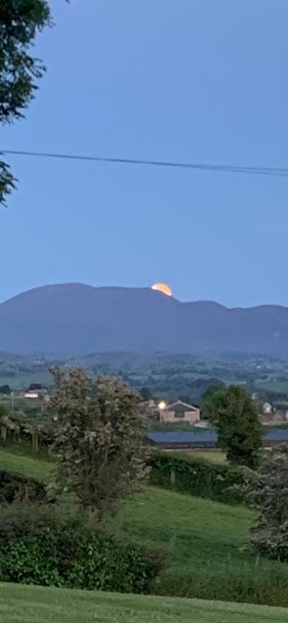 The View At 37 B&B Banbridge Exteriör bild