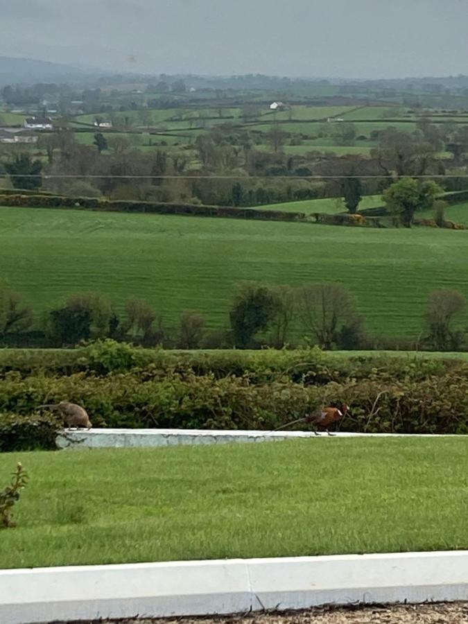 The View At 37 B&B Banbridge Exteriör bild