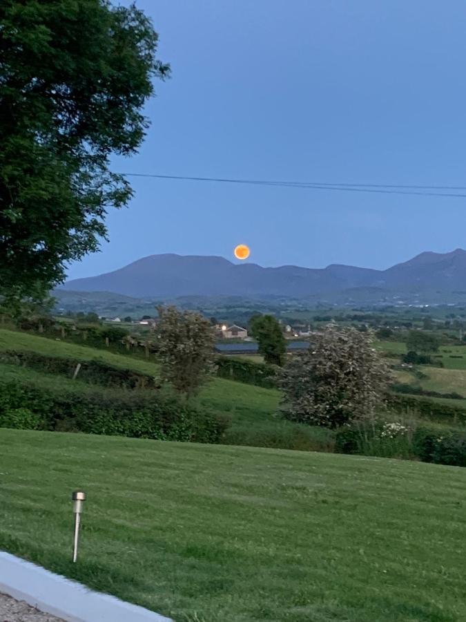 The View At 37 B&B Banbridge Exteriör bild