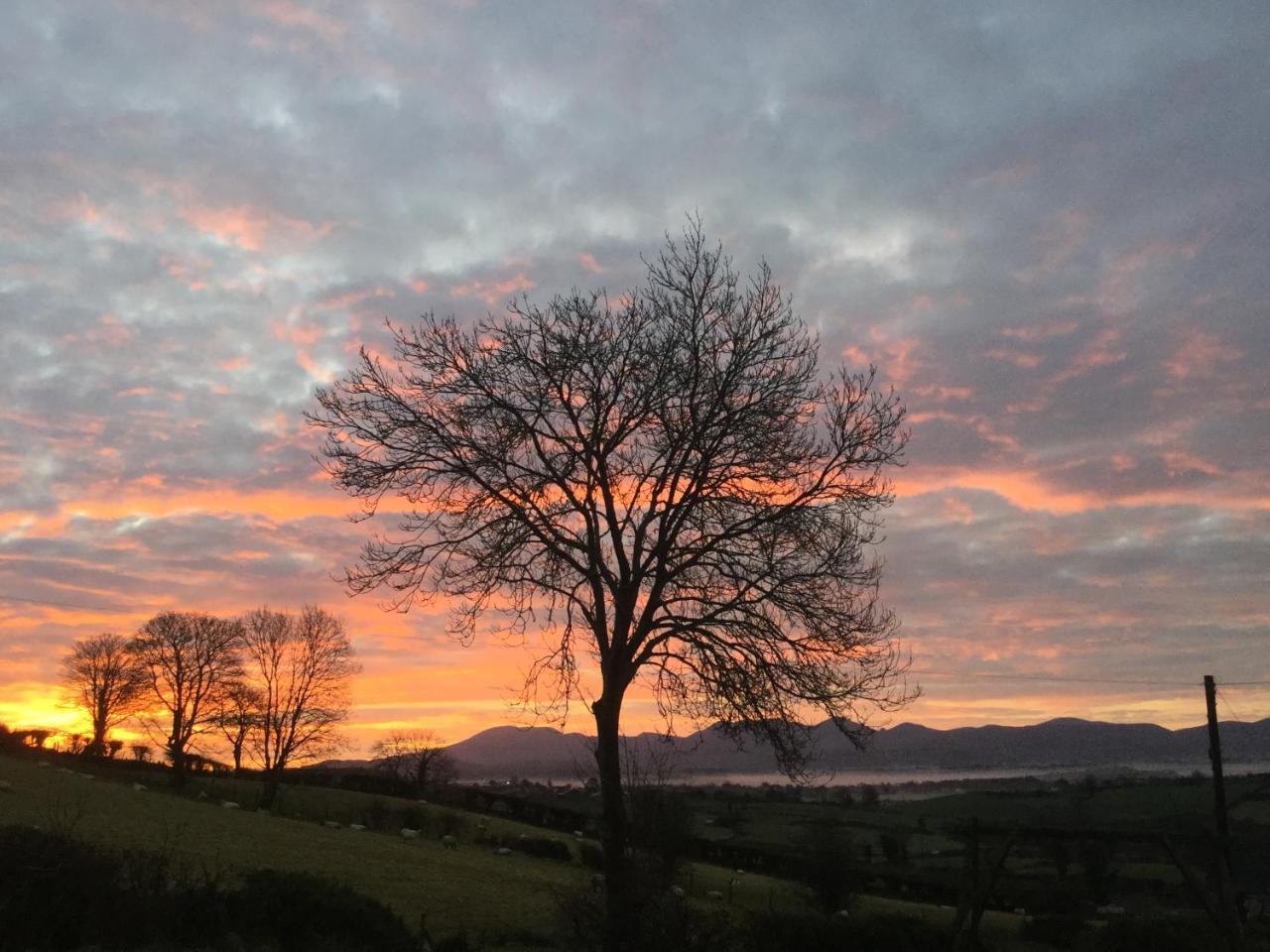 The View At 37 B&B Banbridge Exteriör bild